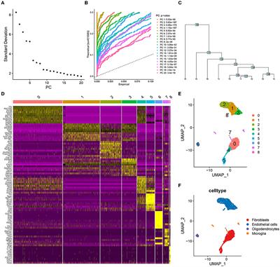 hsa-miR-518-5p/hsa-miR-3135b Regulates the REL/SOD2 Pathway in Ischemic Cerebral Infarction